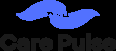 Caring Pulse Logo