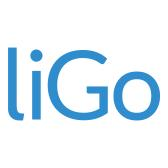 Ligo Electronics Ltd Logo