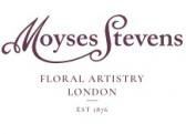 Moyses Stevens Flowers Logo