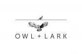 Owl + Lark Logo