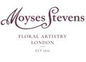 Moyses Stevens Flowers Logo Moyses Stevens Flowers Logo