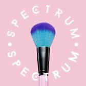 Spectrum Collections Logo Spectrum Collections Logo