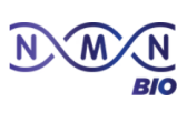 NMN Bio Logo NMN Bio Logo